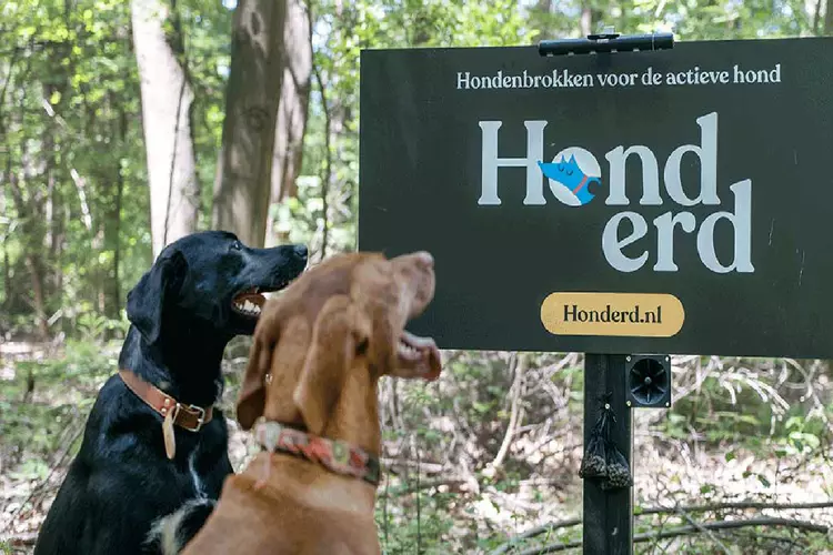 Wereldprimeur voor honden rondom Heerenveen