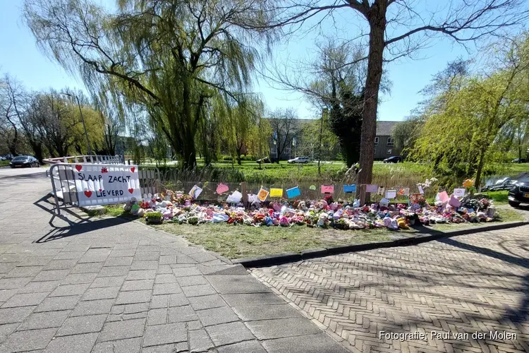 Internationale Dag ter herdenking van verkeersslachtoffers