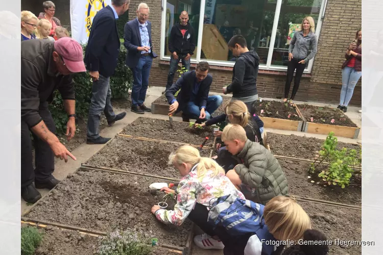 Wethouder opent educatieve groentetuin in Heerenveen