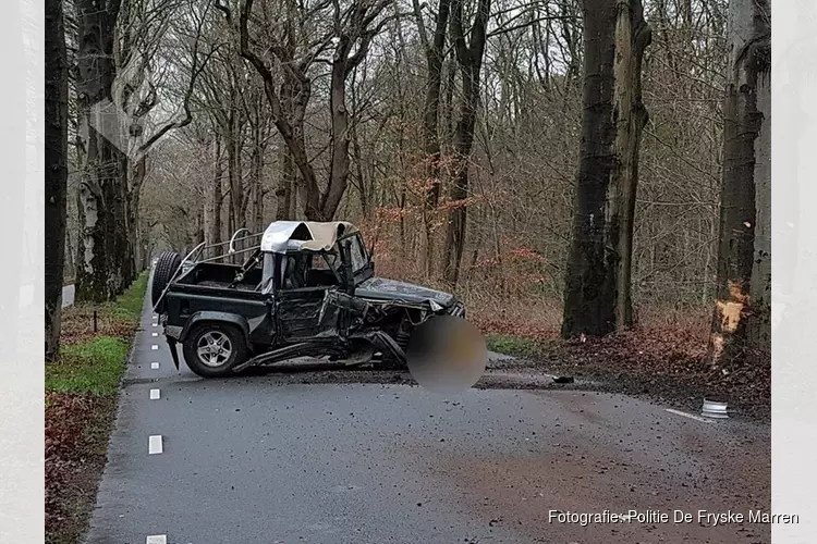 Flinke aanrijding met boom in Sint Nicolaasga